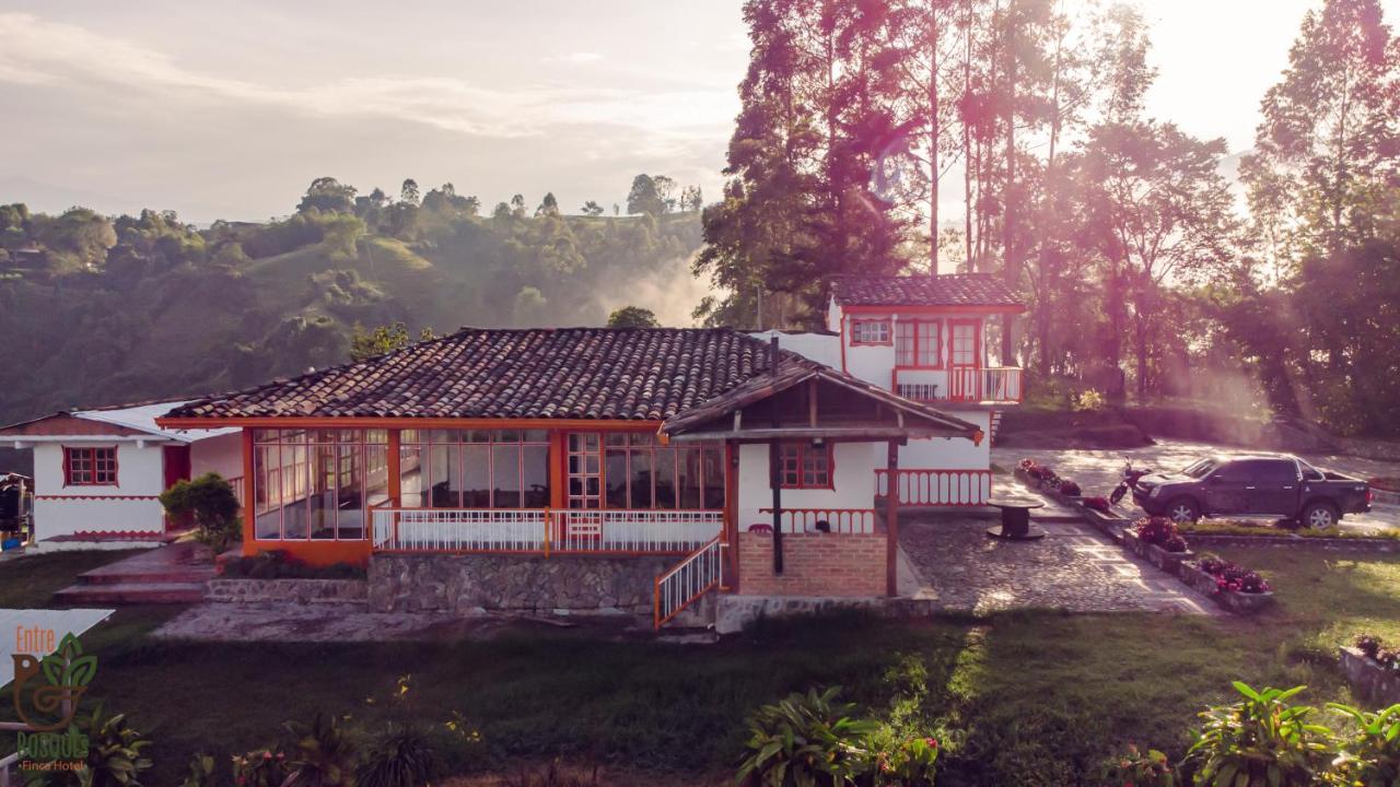 Ecohotel Entrebosques Salento Eksteriør bilde