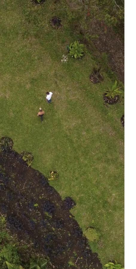 Ecohotel Entrebosques Salento Eksteriør bilde